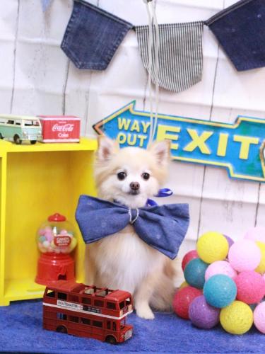 20230409小豆くん